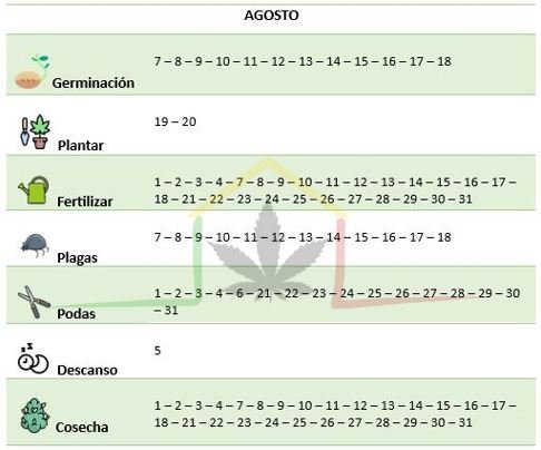 Calendario lunar cannábico Agosto
