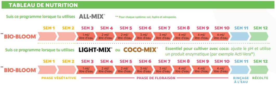 Bio Bloom tablaux