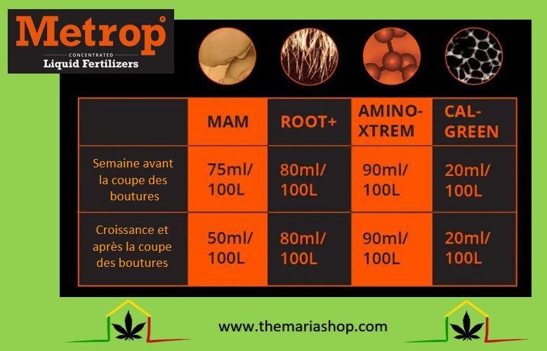 Tableau metrop plantes meres