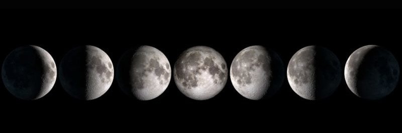 fases-lunares-blog-cultivo