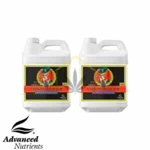 Connoisseur Grow A+B pH Perfect de Advanced Nutrients