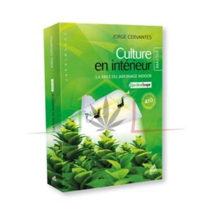 LIBRO CULTURE EN INTERIEUR MASTER JORGE CERVANTES