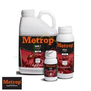 MR2 - Metrop