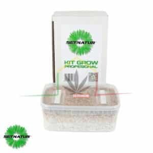 Kit pan de setas Mexicanas