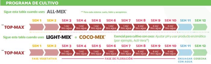 Top max tabla