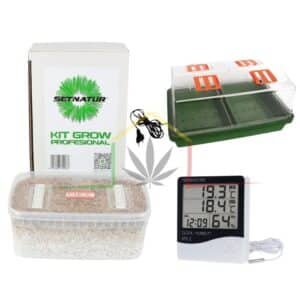 Pack kit cultivo setas deluxe
