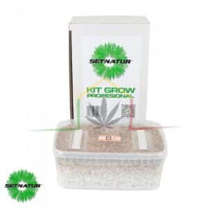 Kit pan de setas B+