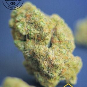 Tropic Diesel CBD de La Catalana CBD