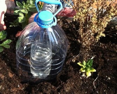 Riego por condensación - Cultivo de guerrilla