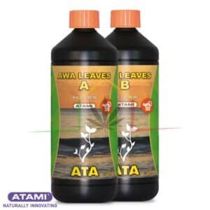 ATA AWA LEAVES A&B - Atami