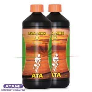 ATA Awa Max A&B - Atami