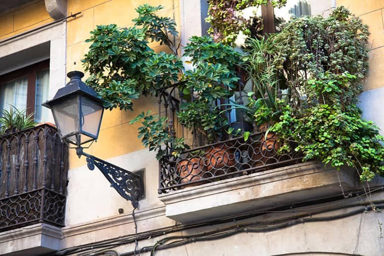 Cultivo de plantas en balcón