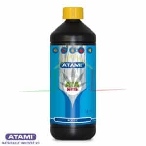 ATA NRG Root-C - Atami