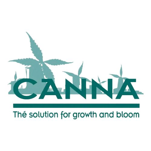 Canna